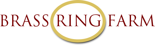 Brass Ring Barn